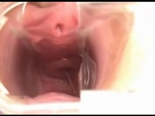 inside the vagina