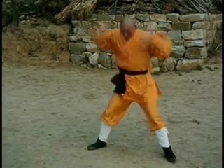 shaolin monks