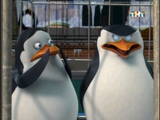 the best joke of the 1st season of the cartoon penguins from madagascar