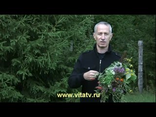 dr. popov - the benefits of herbs